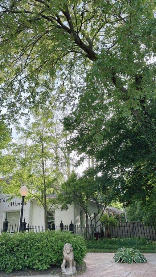 לינה וארוחת בוקר מאונט פלזנט The Ginkgo Tree מראה חיצוני תמונה